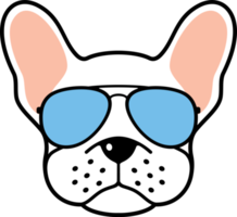bulldog francés con gafas de sol de aviador ilustración png
