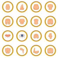 Plastic surgeon icons circle vector