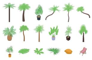 Palm tree icons set, isometric style vector