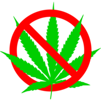 sin hoja de cannabis. No drogas. señal de no fumar hierba. señal de restricción de marihuana. png
