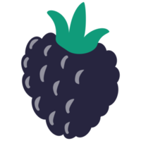 Blackberry fruit cartoon png