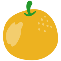 desenho de fruta laranja png