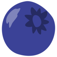 Blueberry fruit cartoon png