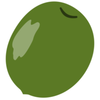 Kiwi-Frucht-Cartoon png