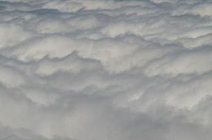 nubes altas sobre el bosque de árboles de cono de pino foto