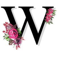 alfabeto de letras florais png