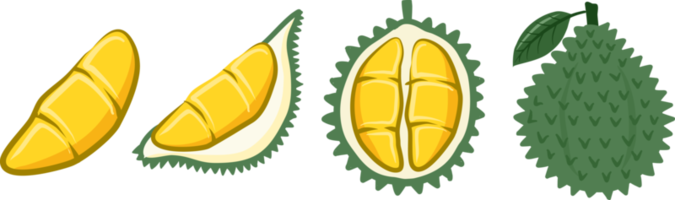 frutos de la colección durian png