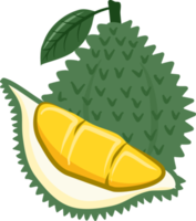 Durian Collection fruits png