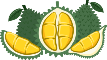 durian collectie fruit png