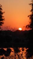 The beautiful sunset view in the forest with the warm and colorful sundown sunlight photo