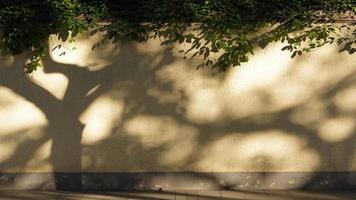 The beautiful old buildings view located in Shanghai under the warm sunlight in autumn photo