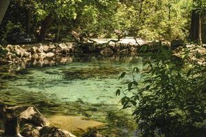 verano en el parque foto