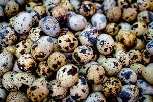 close up textured background of quail eggs. High protein for Diet photo