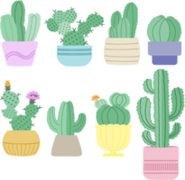 On a white background, is a collection of png cactus pot plants.
