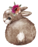 Brown rabbit with a flower on its head. png