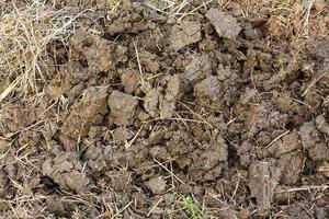 soil texture close up photo