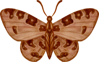 mariposa vintage acuarela png