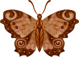 aquarell vintage schmetterling png