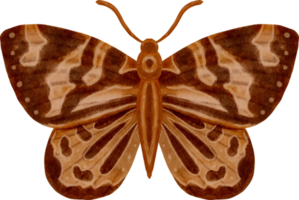 mariposa vintage acuarela png