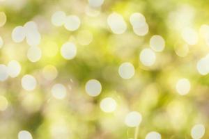 abstract green nature background photo
