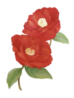 Red camellia floral botanical flowers. Wild spring leaf wildflower isolated. Watercolor illustration image. png