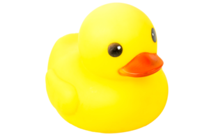 bath Yellow Rubber Duck  on isolate background png