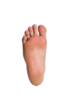 foot or pair of bare feet on isolated background png