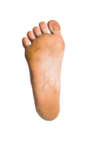 Fuß oder Paar nackte Füße auf isoliertem Hintergrund png
