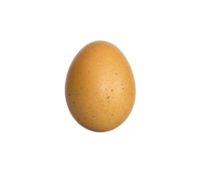 egg on isolated background Clipping path png