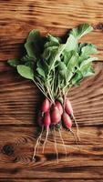 Bunch of fresh radishes vegetable harvest on wooden rustic background photo