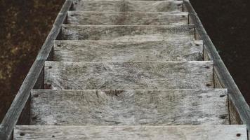 Wooden steps of a ladder on a background of grass photo