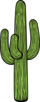 illustrazione png di pianta di cactus