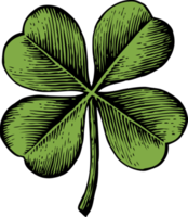 clover with four leaf - vintage engraved png illustration - hand drawn style