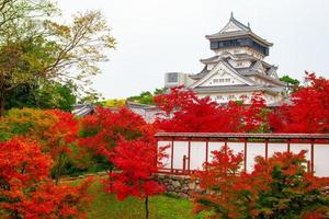 castillo de kokura-jo, castillo japonés en el parque público de katsuyama, lleno de hojas rojas en las hojas de otoño. ambiente onsen. en kitakyushu, prefectura de fukuoka, japón. foto