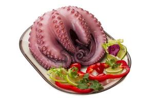 Large boiled octopus photo