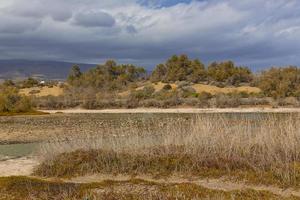 Oasis in Maspalomas Dunas photo