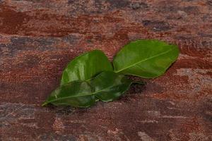 Kafir lime leaves - addition for Asian cuisine photo