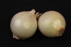 Ripe white onion photo
