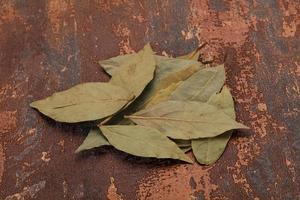 Dry laurel leaves photo