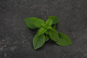 hojas de albahaca verde fresca - para cocinar foto