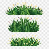 Green Natural Grass Element vector