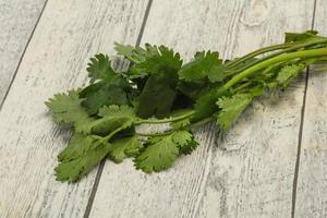 hojas frescas de cilantro verde maduro foto