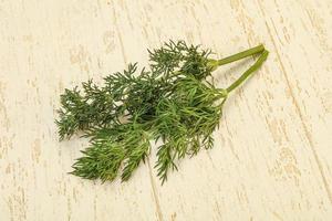 Aroma seasoning - Green Dill branch photo