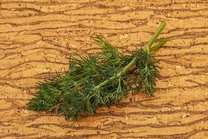 Aroma seasoning - Green Dill branch photo