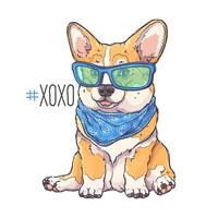 vector de retrato de cachorro de corgi dibujado a mano