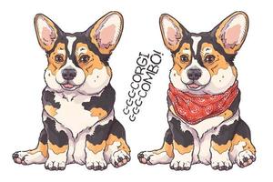 vector de retrato de cachorro de corgi dibujado a mano