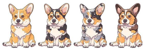 vector de retrato de cachorro de corgi dibujado a mano