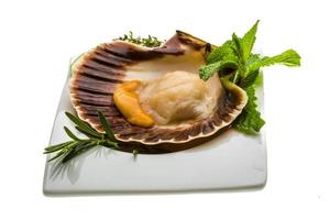 Scallop with asparagus, lime, mint and rosemary photo