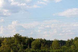 bosque en verano, rusia foto