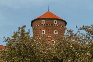 castillo real en wawel, cracovia foto